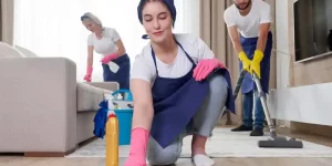 Professional Maid Services