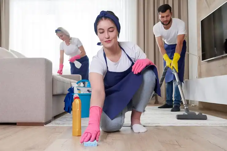 Professional Maid Services