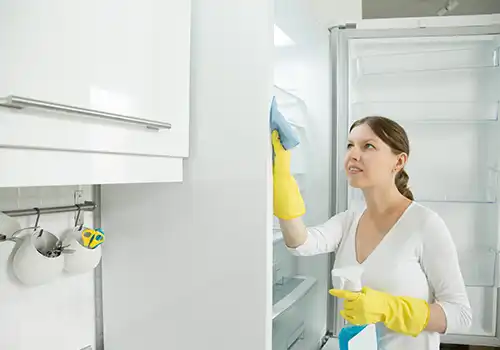 Professional Maid Services